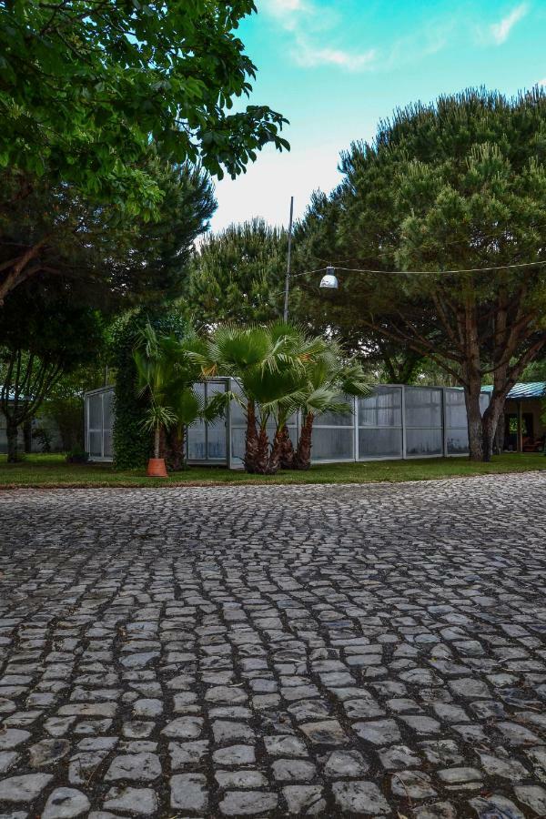 Quinta Da Mafalda Mira  Exterior foto