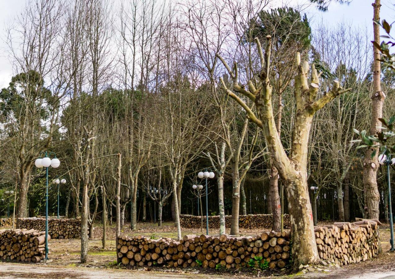 Quinta Da Mafalda Mira  Exterior foto