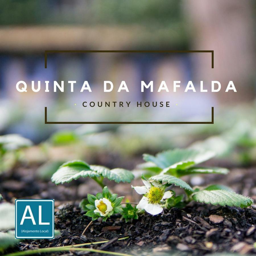 Quinta Da Mafalda Mira  Exterior foto